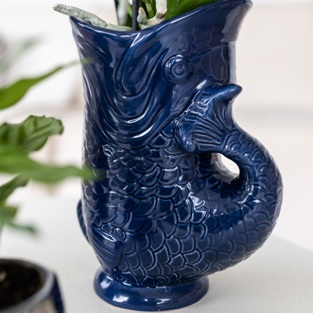 Set van orchidee Lima en succulenten in keramieken sierpotten - potmaat Ø9cm & Ø6cm