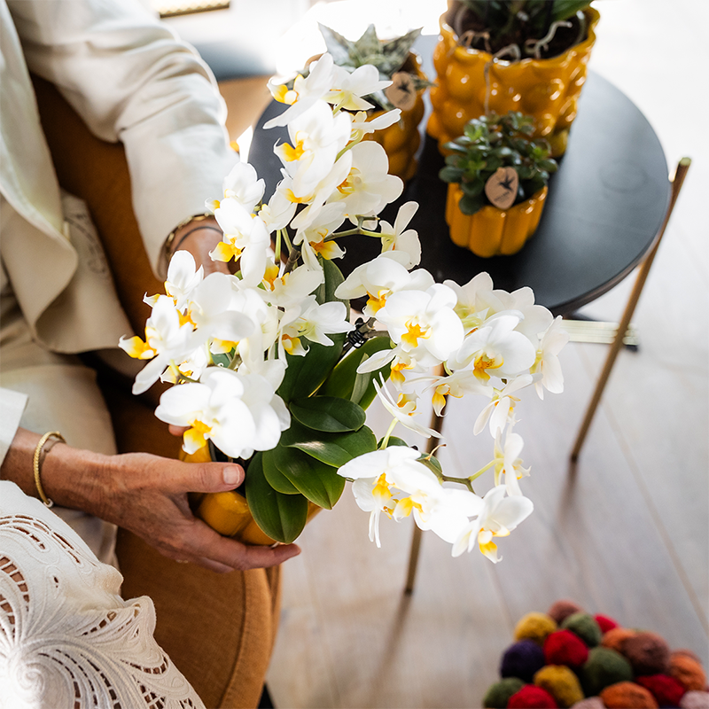 Orchidee cadeau beterschap | Orchidee met pot, kaart & cadeautas