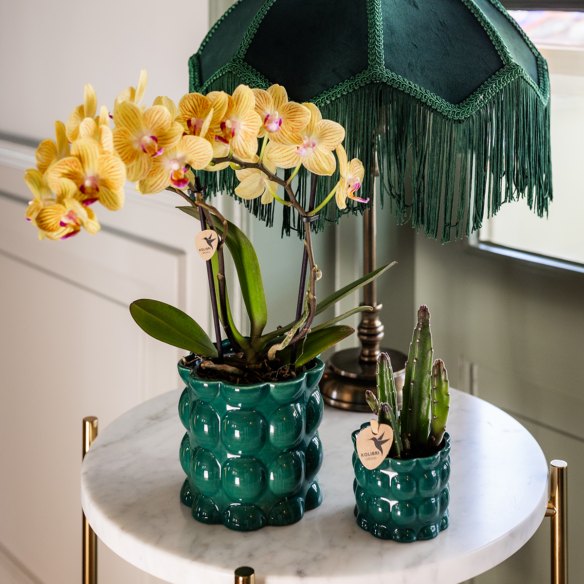 Orchidée Phalaenopsis jaune - Lima - pot Ø9cm