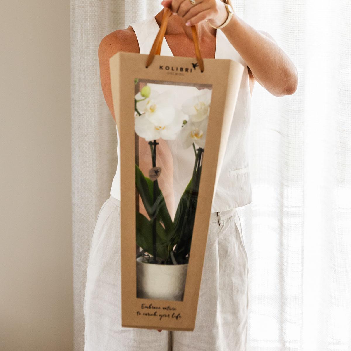 Orchidee cadeau beterschap | Orchidee met pot, kaart & cadeautas