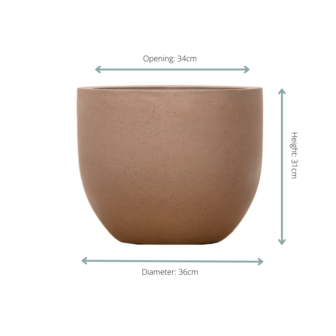 Pot Grigio New Egg Bronze
