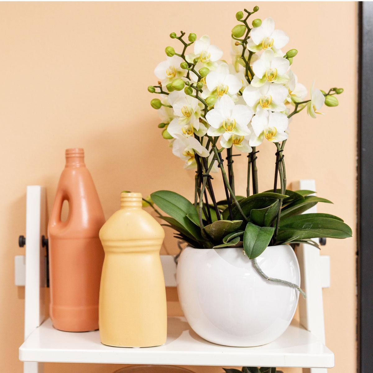 Kolibri Home | Pot de fleurs bol - Pot décoratif en céramique blanche - Taille du pot Ø9 cm