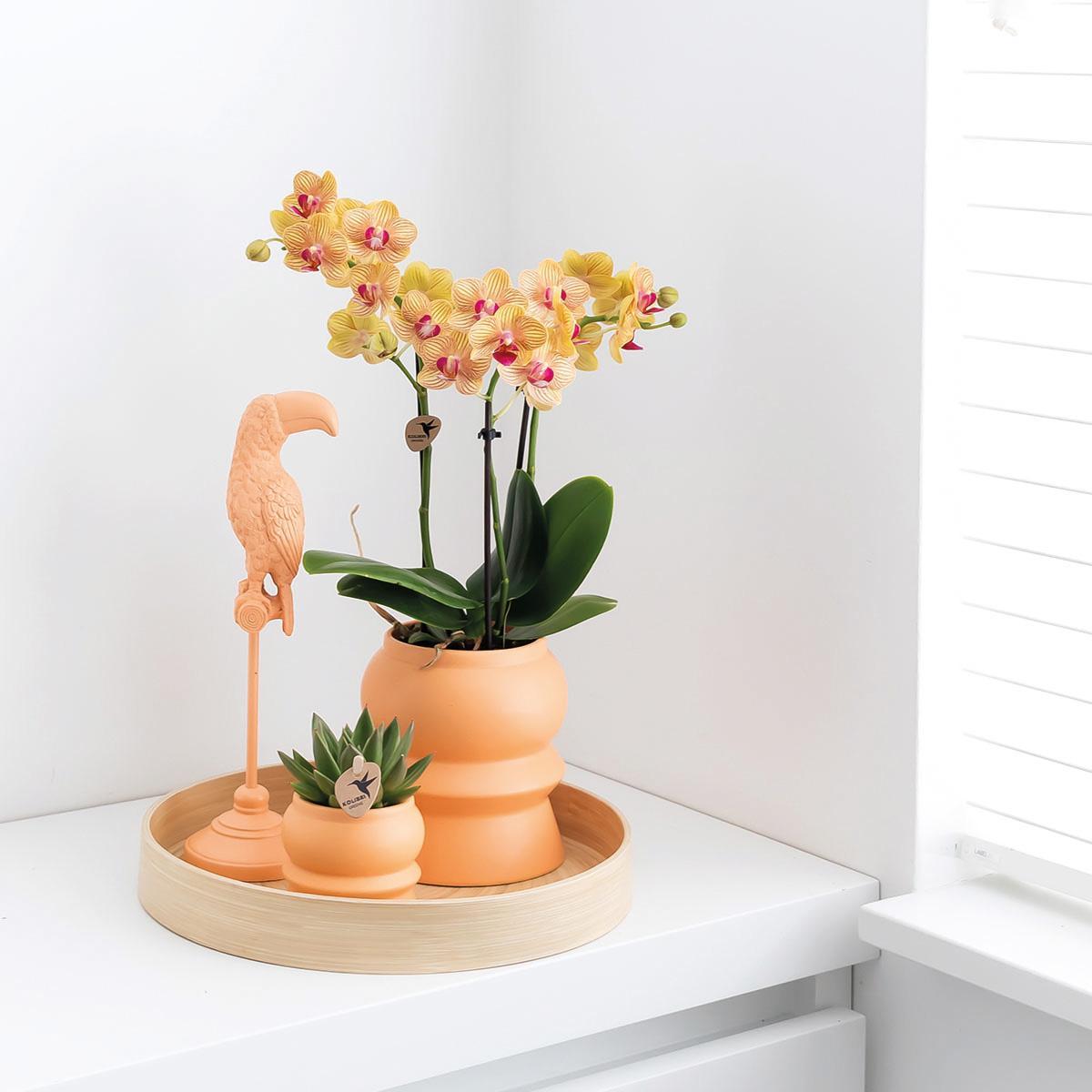 Hummingbird Home | Plateau décoratif - Plateau rond en bambou uni Ø30cm