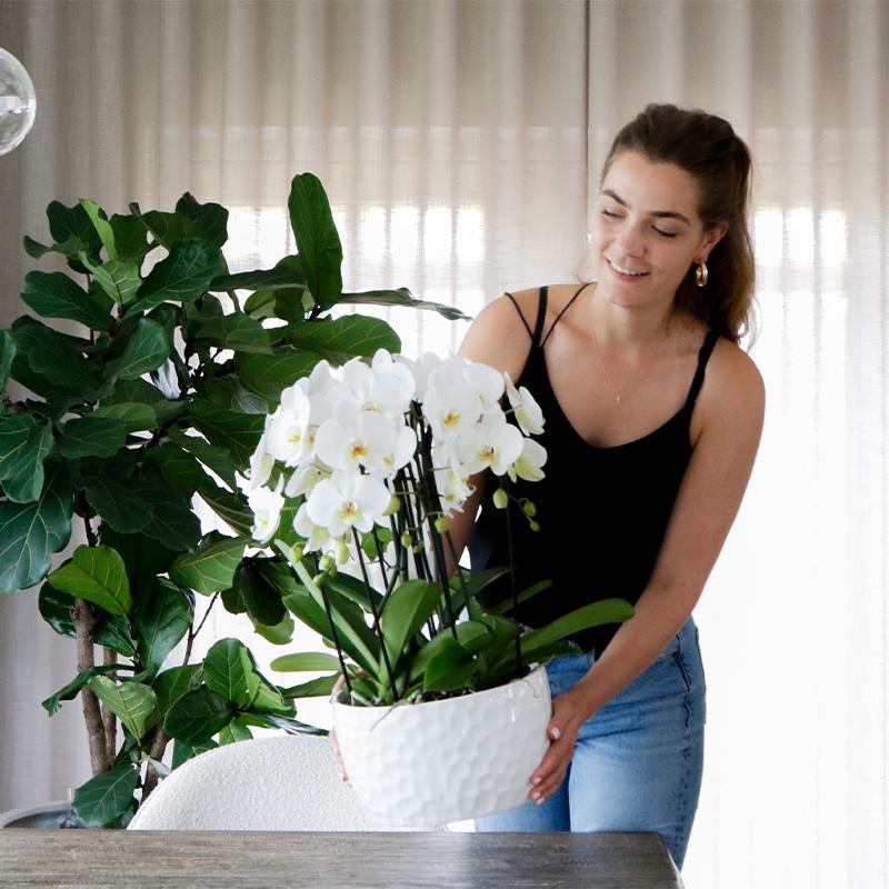 Honey dish wit - Keramieken planten schaal met honing patroon - geschikt als plantenbak - potmaat Ø30cm