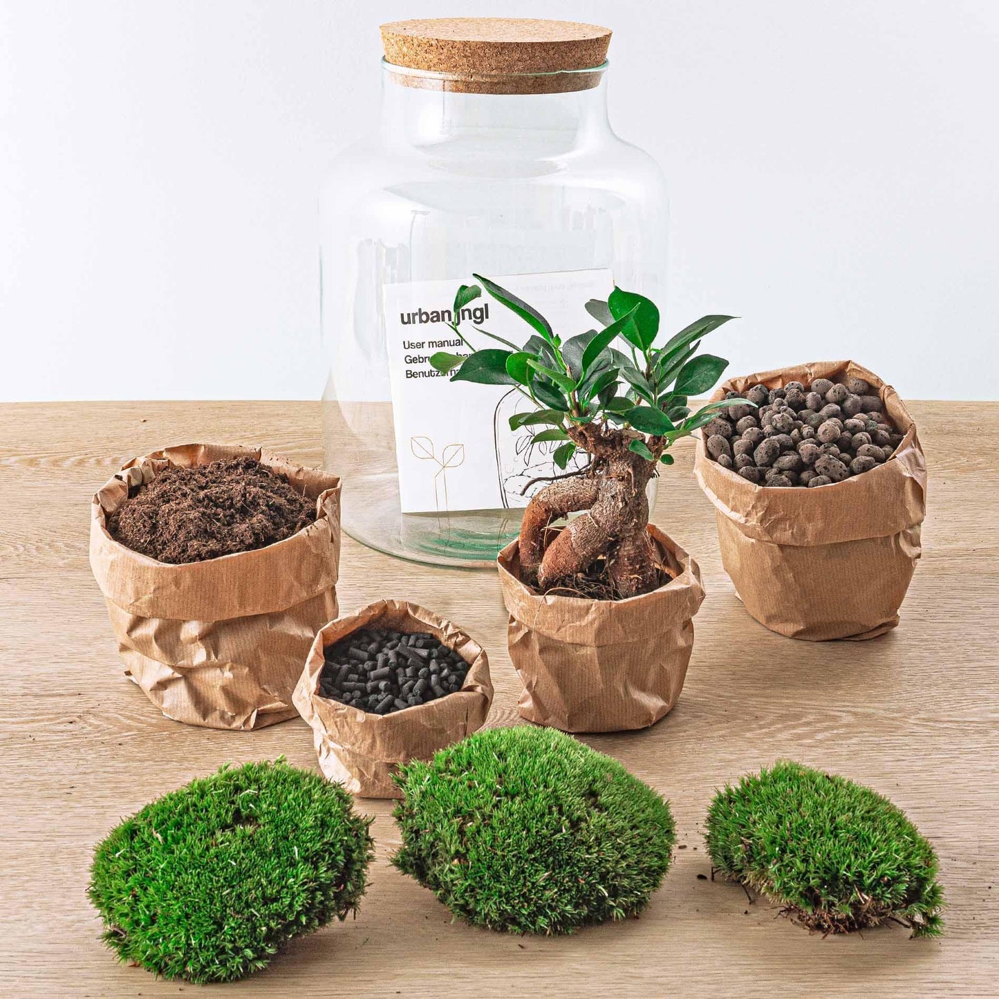 DIY terrarium - Milky met bonsai - ↕ 30 cm
