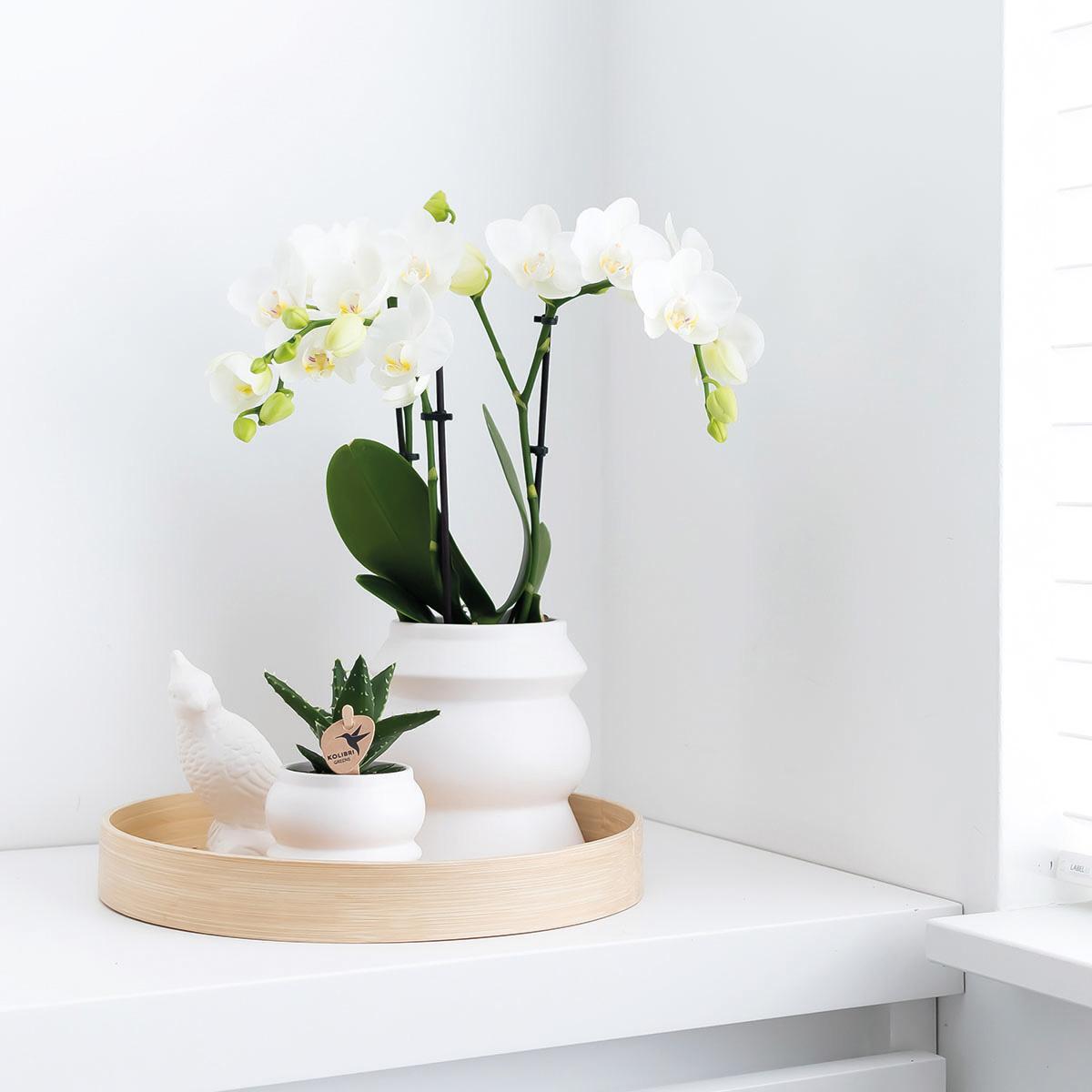 Hummingbird Home | Plateau décoratif - Plateau rond en bambou uni Ø30cm