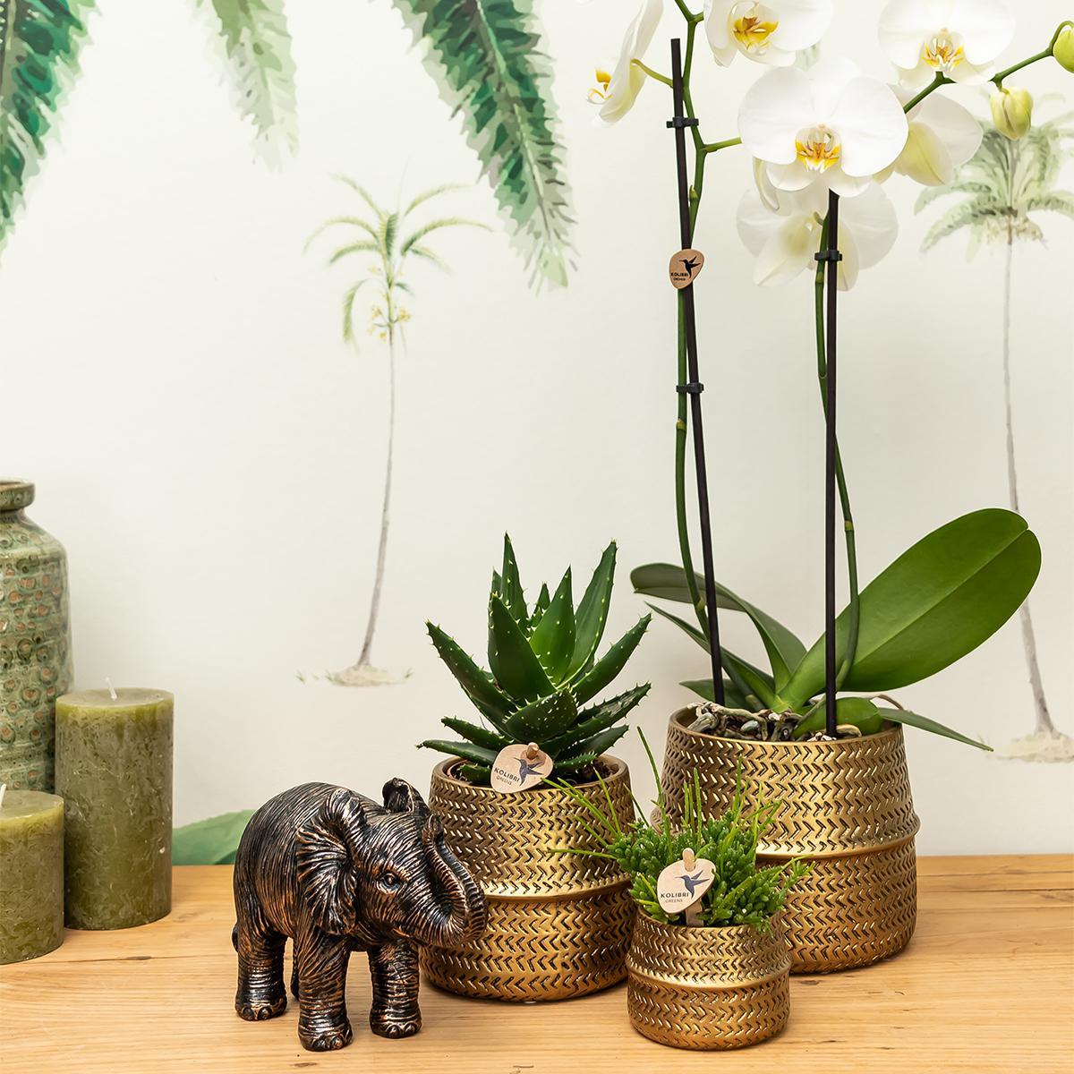 Groove bloempot - Gouden keramieken sierpot - potmaat - Ø9cm