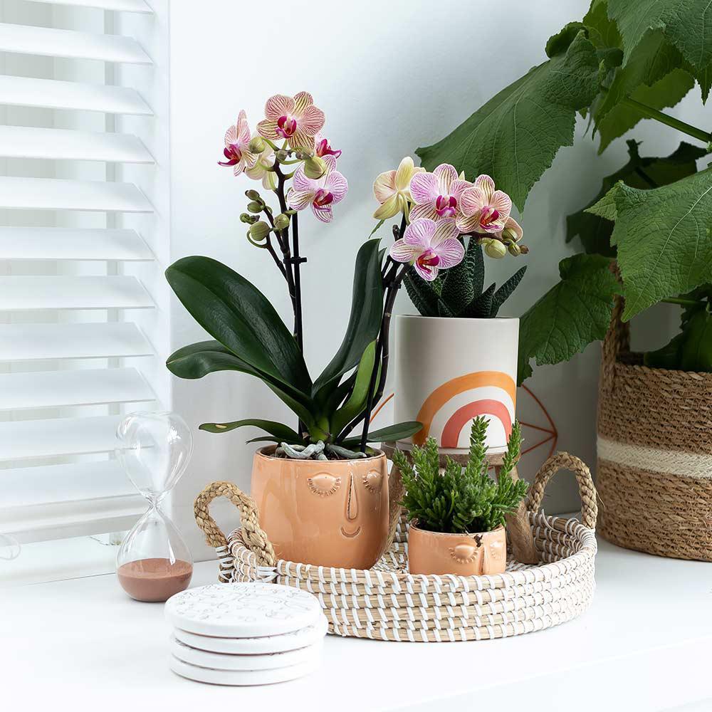 Hummingbird Home | Bol décoratif - Plateau tressé blanc Ø30cm