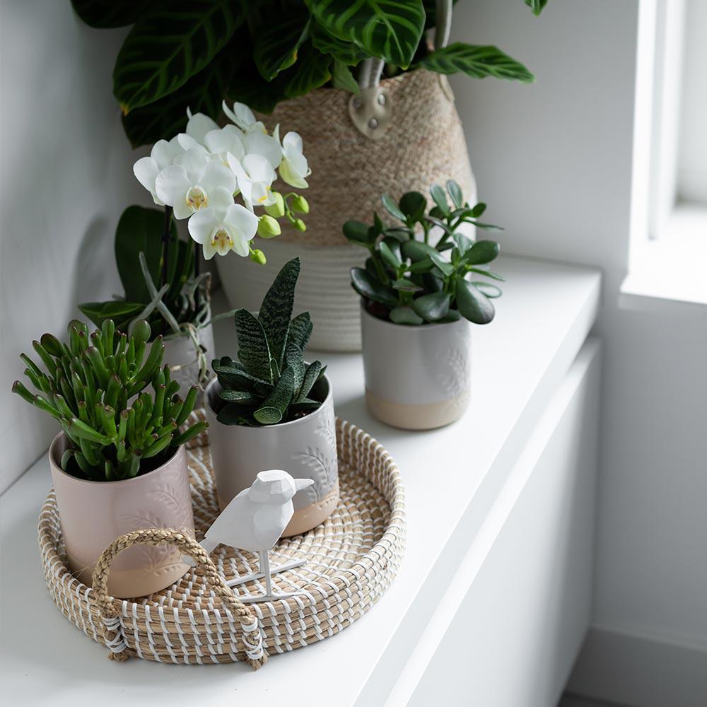 Hummingbird Home | Bol décoratif - Plateau tressé blanc Ø30cm