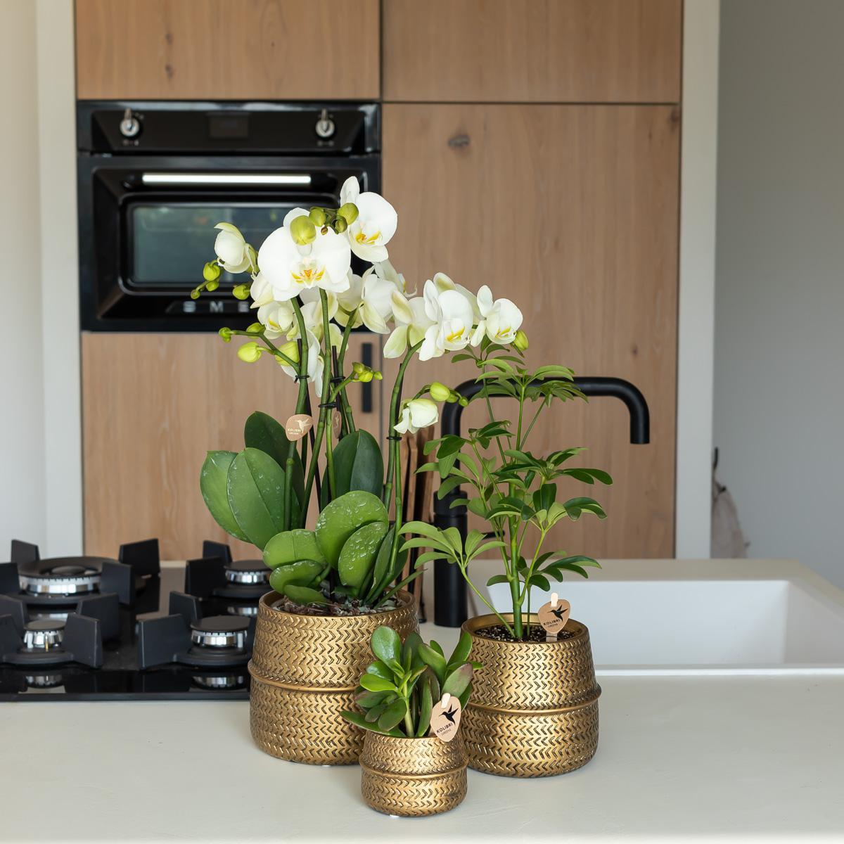 Groove bloempot - Gouden keramieken sierpot - potmaat - Ø9cm