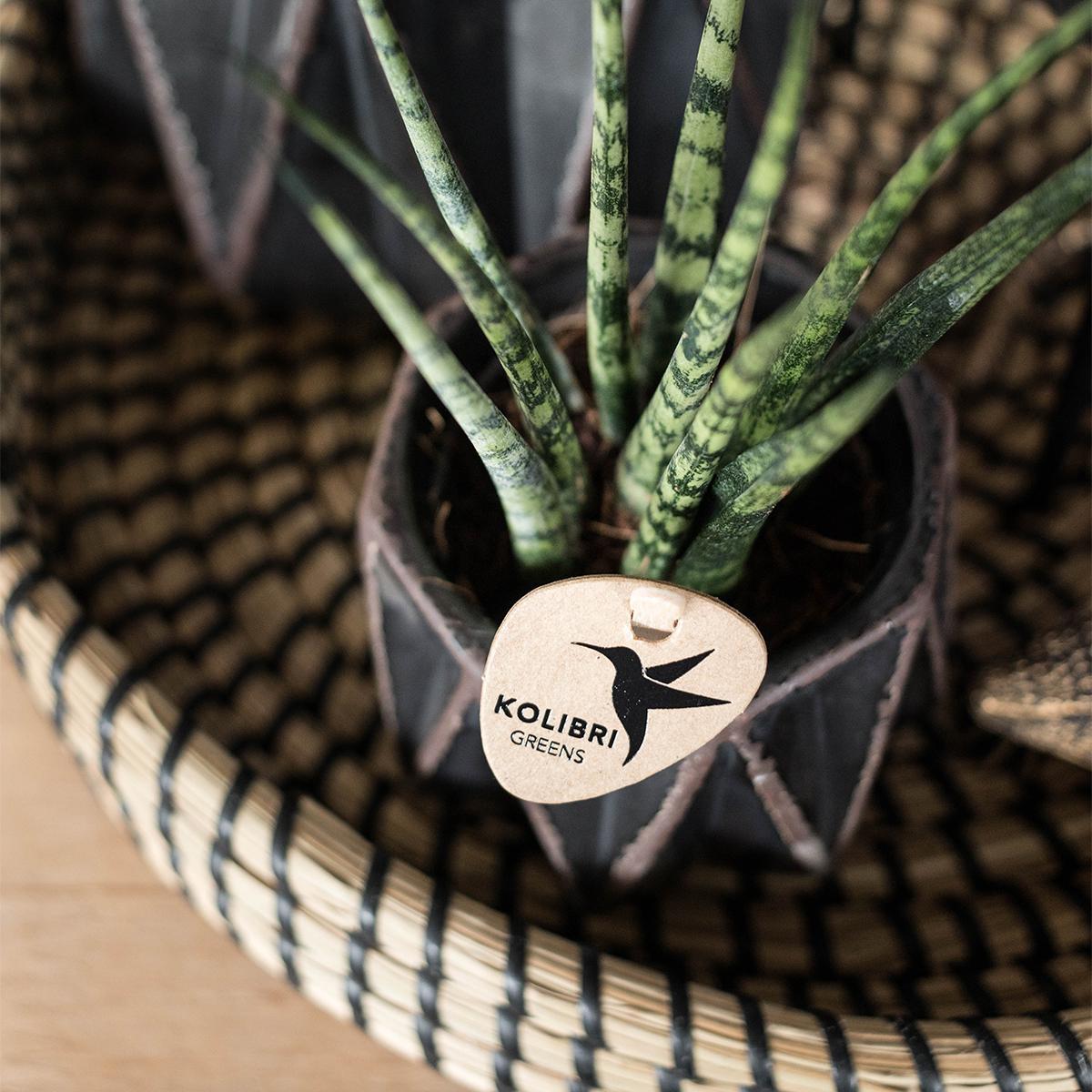 Hummingbird Home | Bol décoratif - Plateau tressé noir Ø30cm