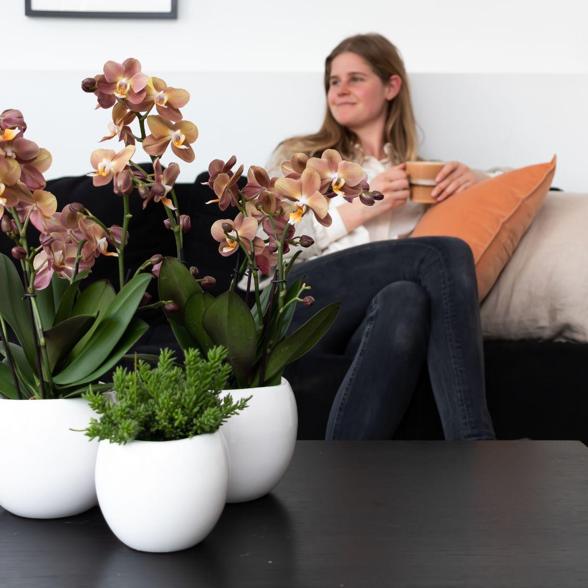 Kolibri Home | Pot de fleurs bol - Pot décoratif en céramique blanche - Taille du pot Ø9 cm
