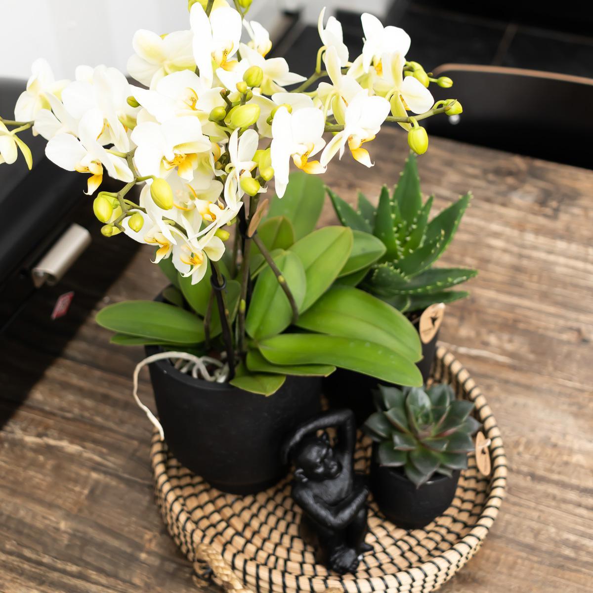 Hummingbird Home | Bol décoratif - Plateau tressé noir Ø30cm