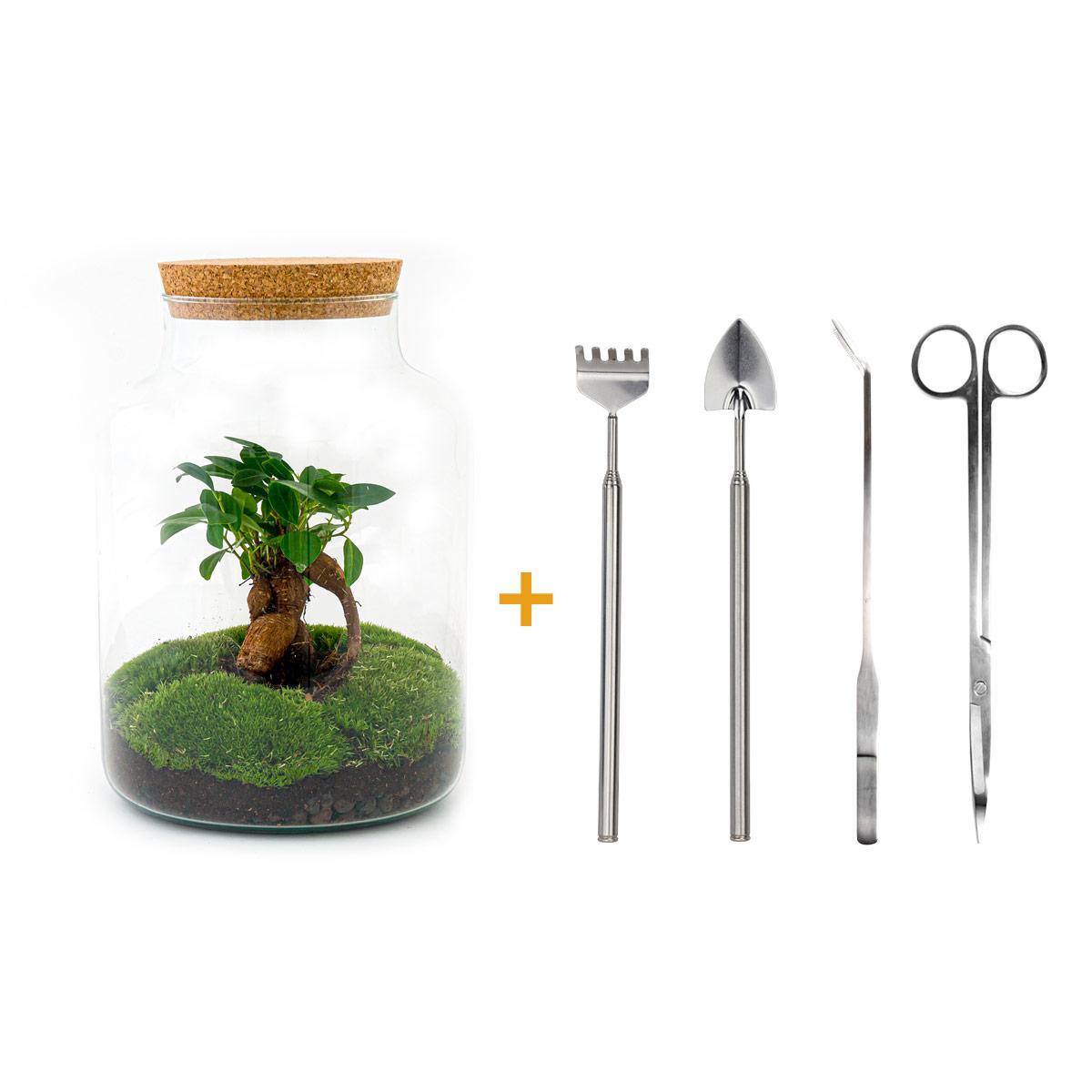 DIY terrarium - Milky met bonsai - ↕ 30 cm