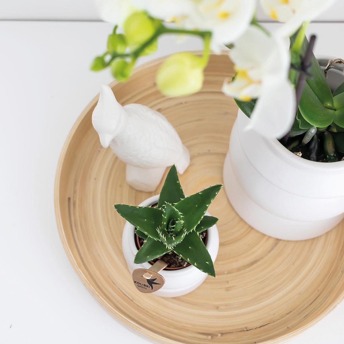 Hummingbird Home | Plateau décoratif - Plateau rond en bambou uni Ø30cm