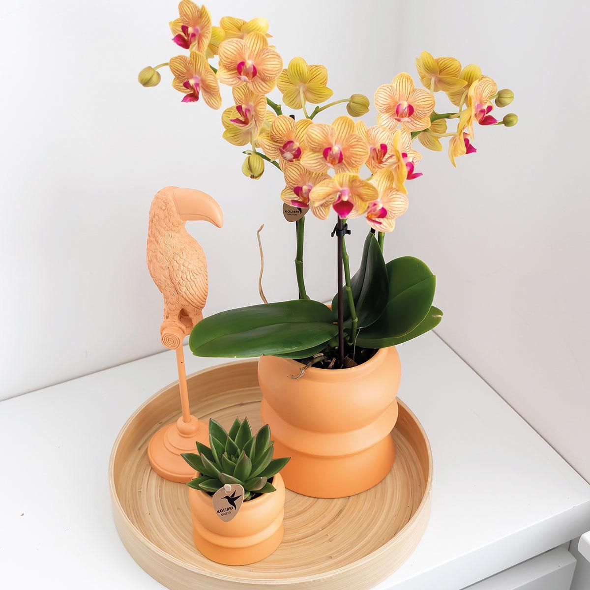 Hummingbird Home | Plateau décoratif - Plateau rond en bambou uni Ø30cm