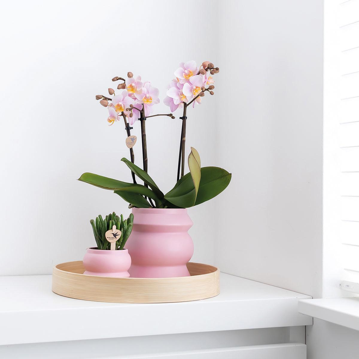 Hummingbird Home | Plateau décoratif - Plateau rond en bambou uni Ø30cm