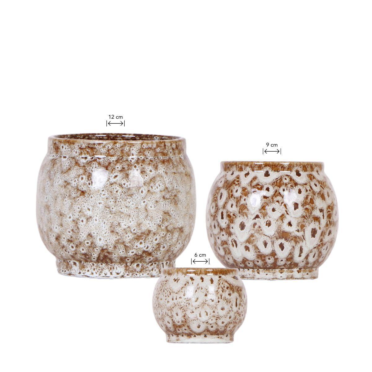 Hummingbird Home | Offre combinée - Pots Safari