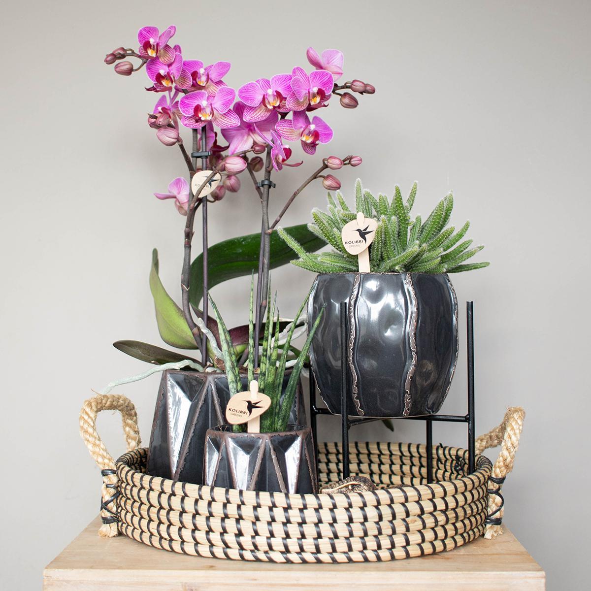 Hummingbird Home | Bol décoratif - Plateau tressé noir Ø30cm