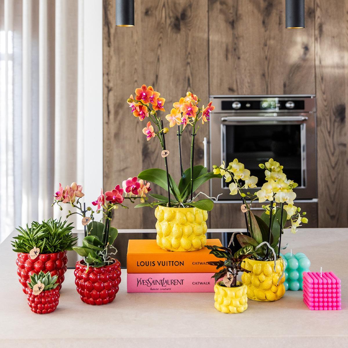 Berry pot