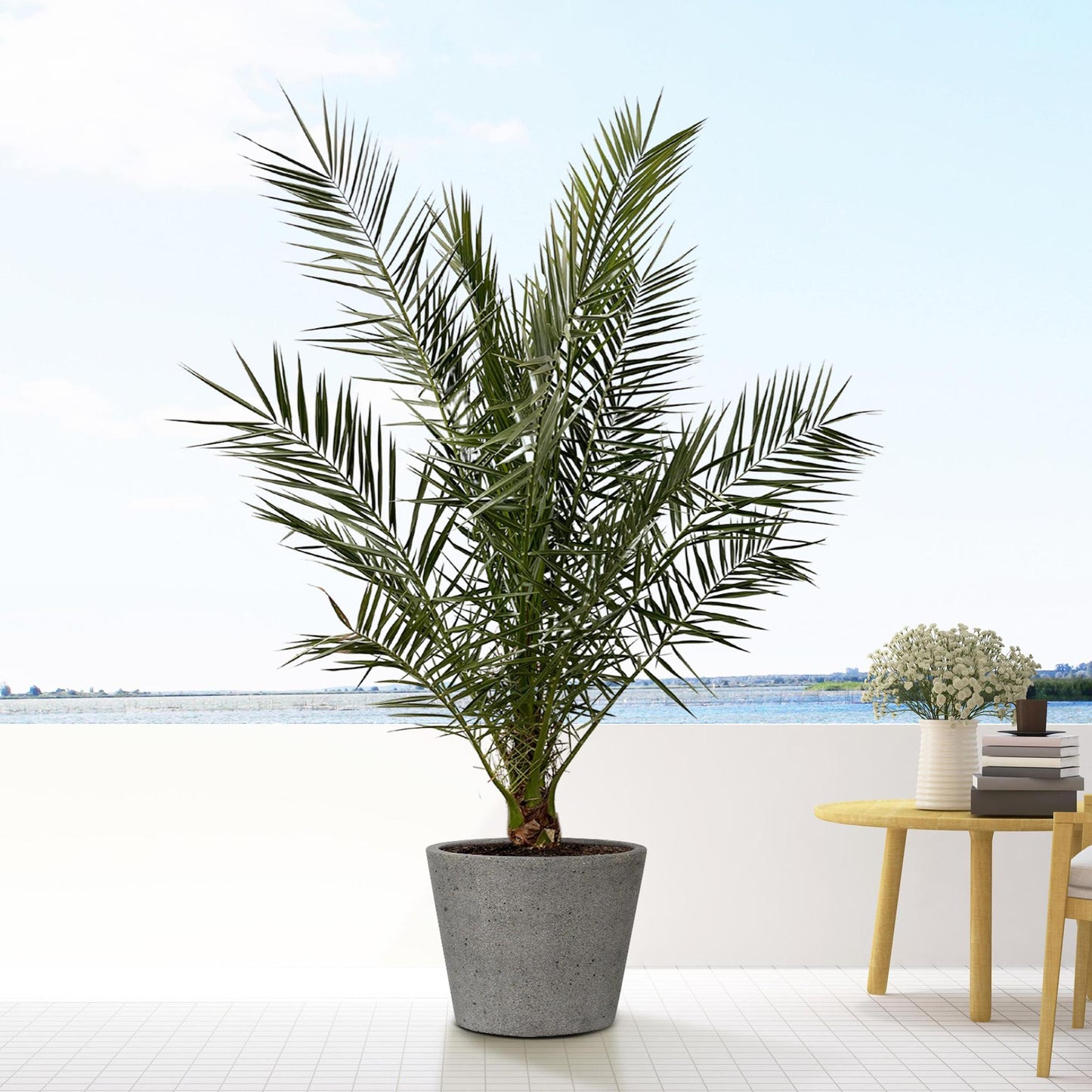 Bucket Laterite Grey