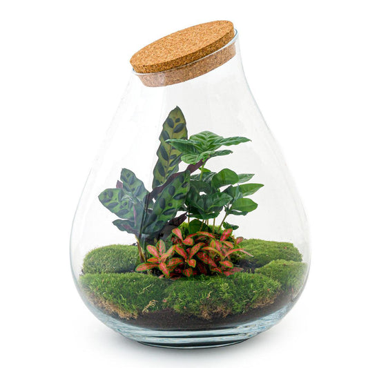 DIY terrarium - Drop XL Rood - ↕ 37 cm