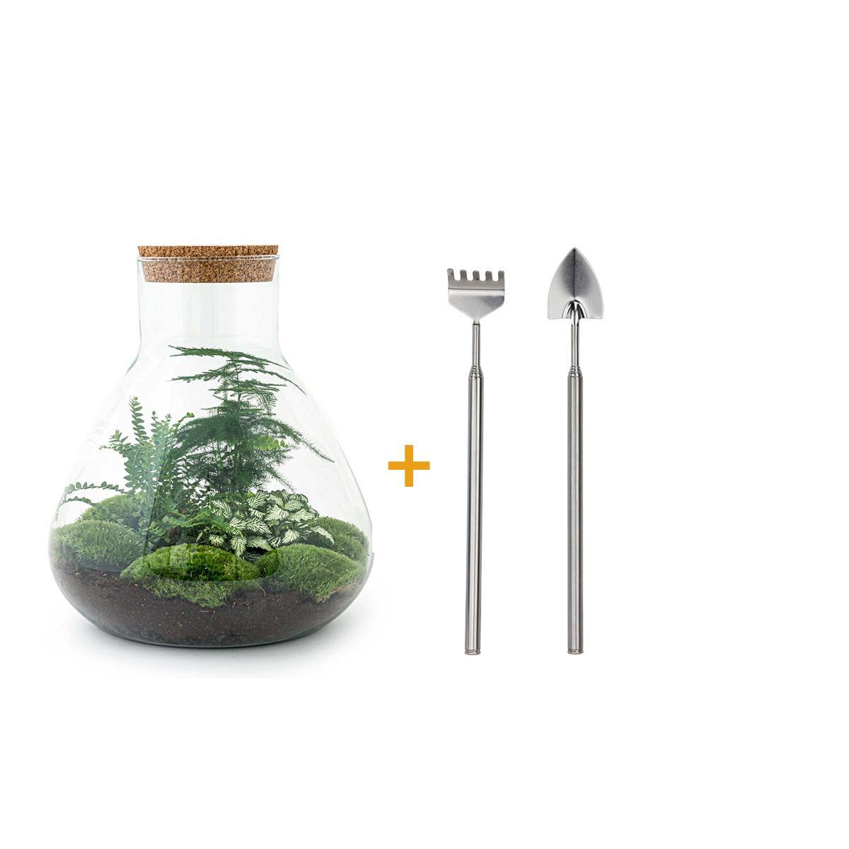 DIY terrarium - Sam XL - ↕ 35 cm