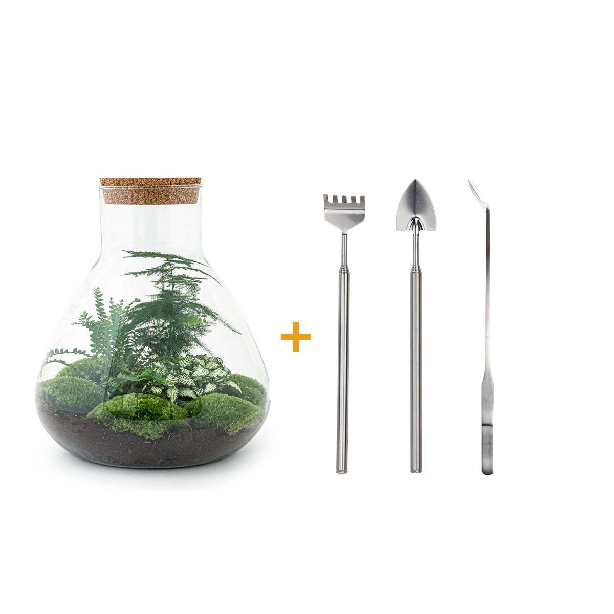 DIY terrarium - Sam XL - ↕ 35 cm