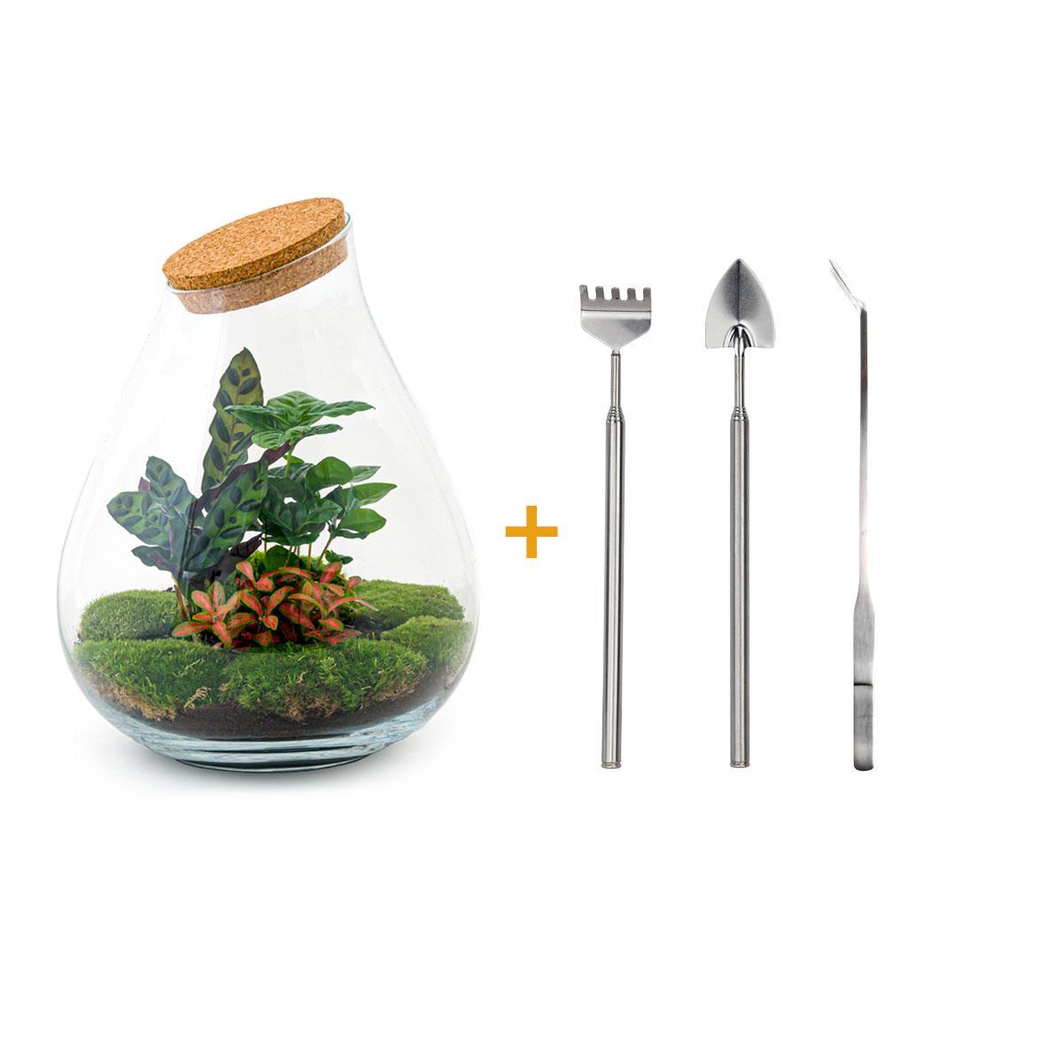 DIY terrarium - Drop XL Rood - ↕ 37 cm