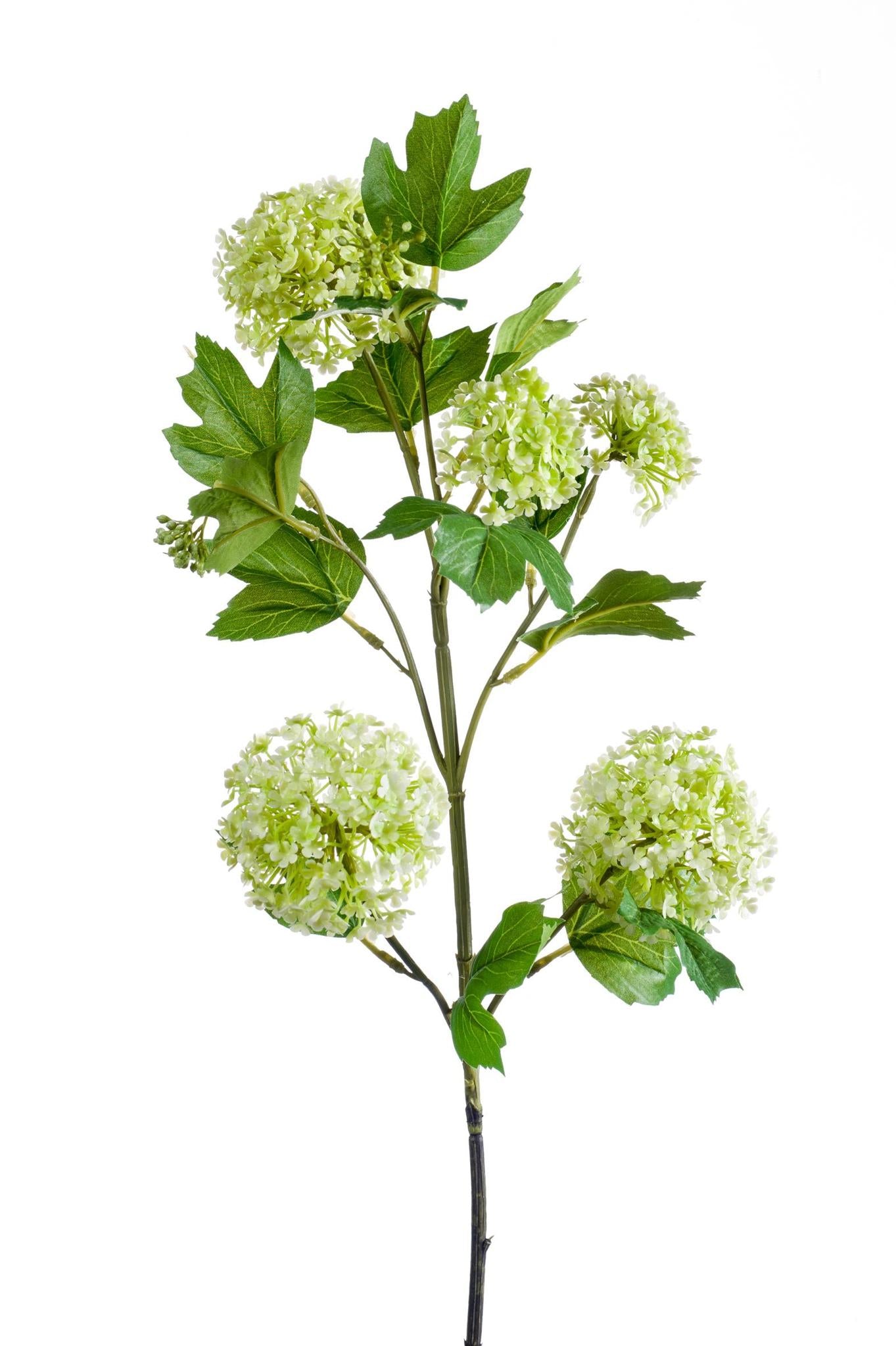Kunstbloemen - Viburnum Opulus