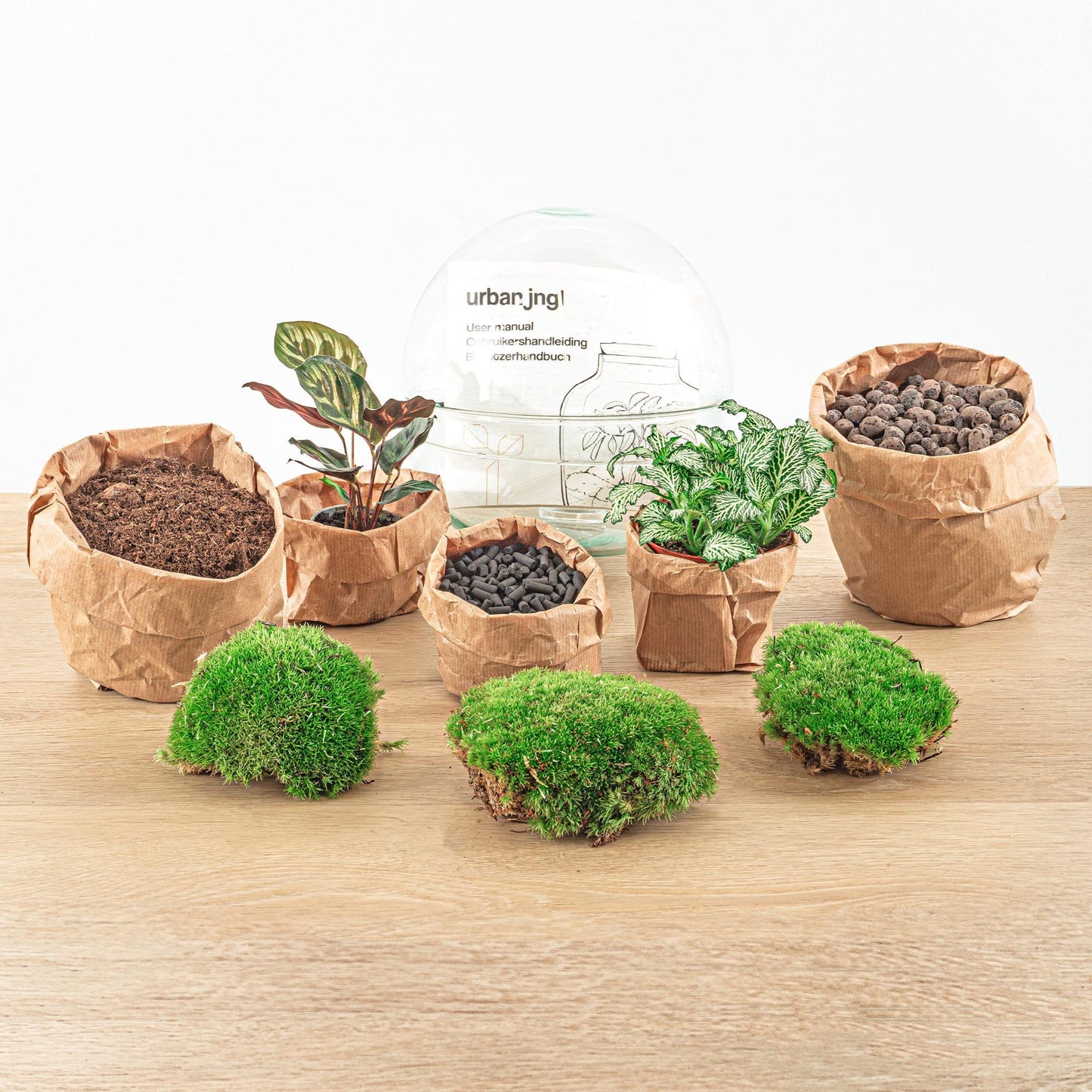 DIY terrarium - Dome - ↕ 20 cm