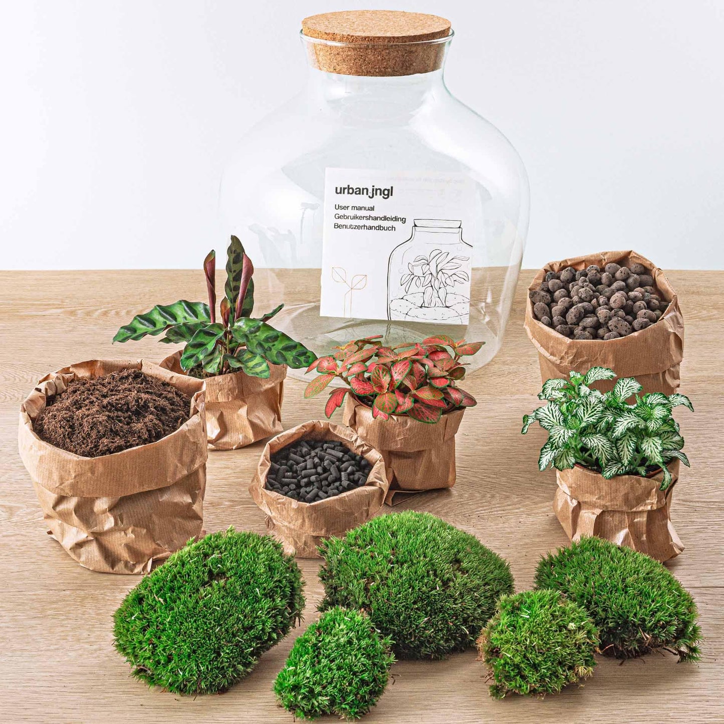 DIY terrarium - Fat Joe Rood - ↕ 30 cm