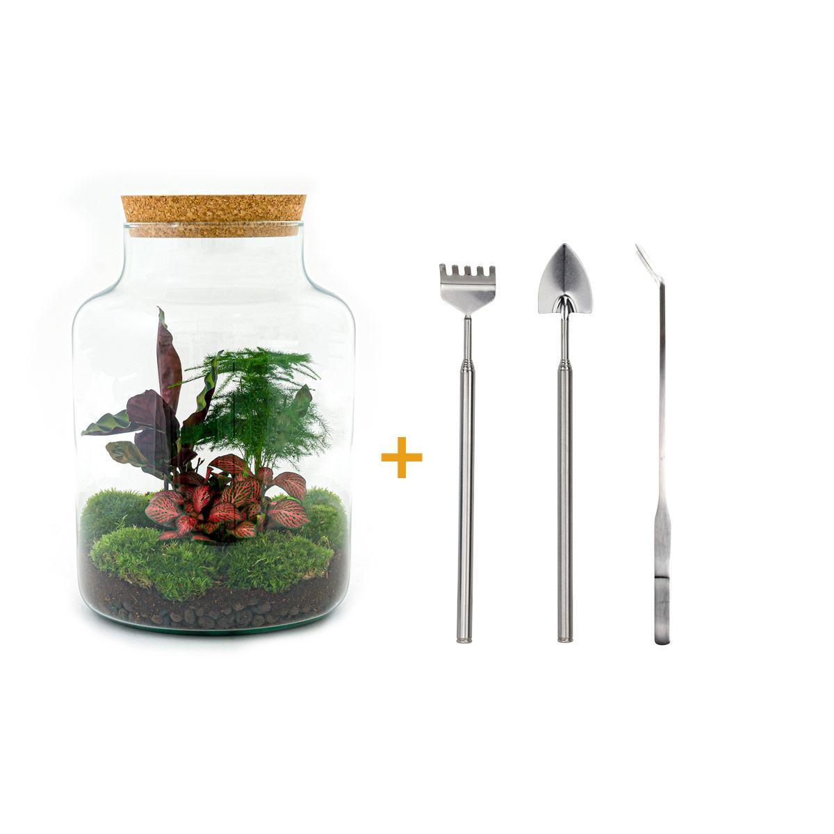 DIY terrarium - Milky - ↕ 30 cm