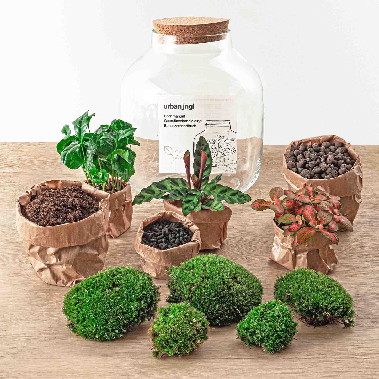 DIY terrarium - Billie Botanical - ↕ 30 cm