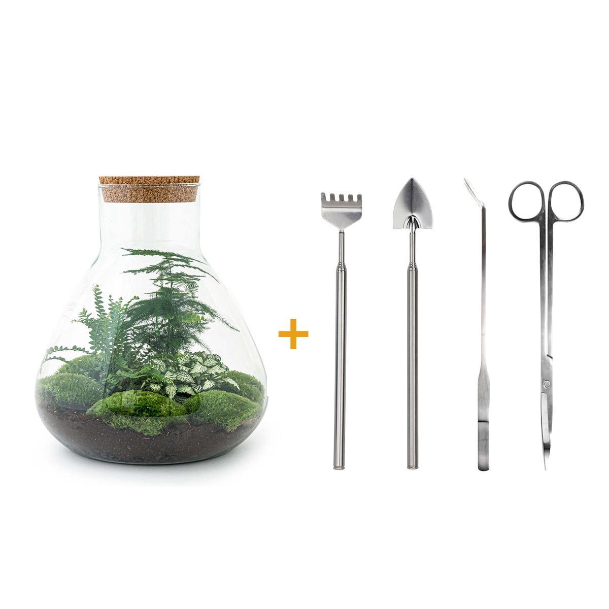 DIY terrarium - Sam XL - ↕ 35 cm