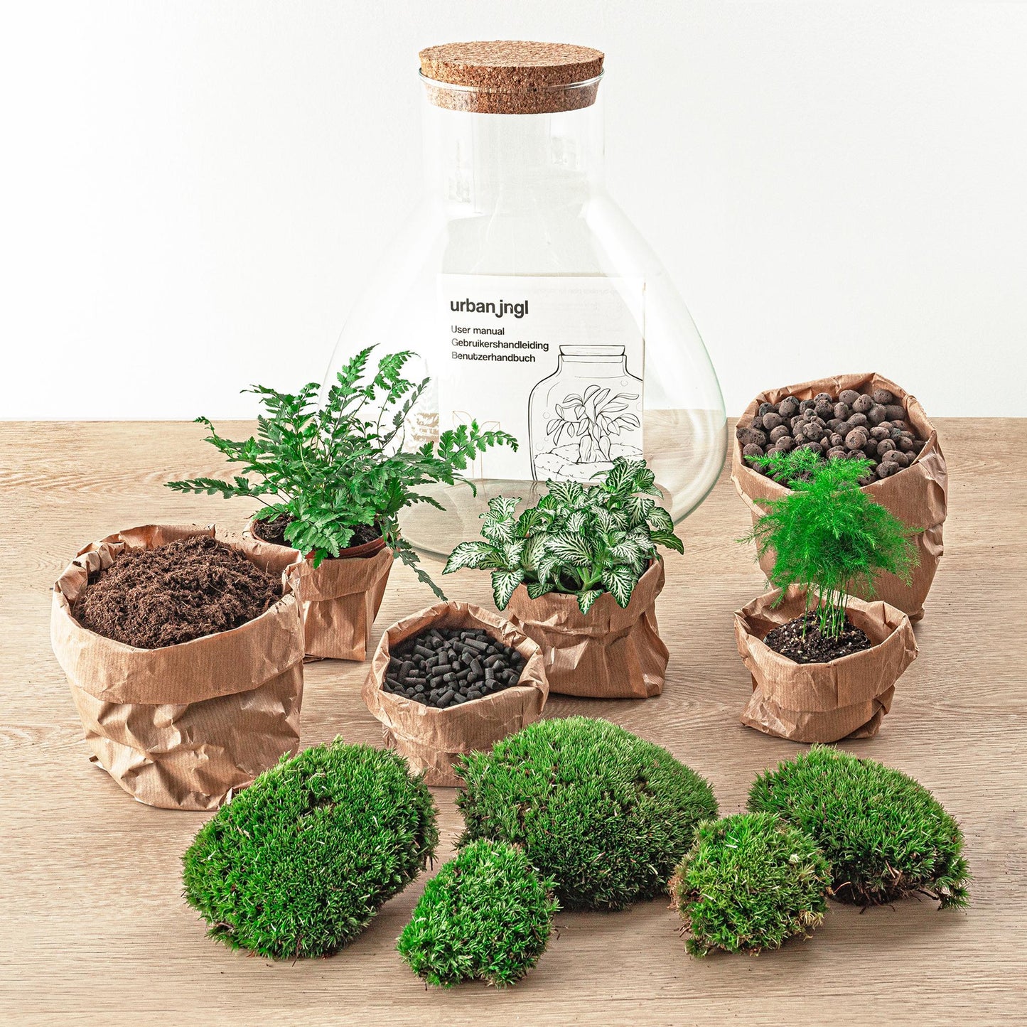 DIY terrarium - Sam XL - ↕ 35 cm