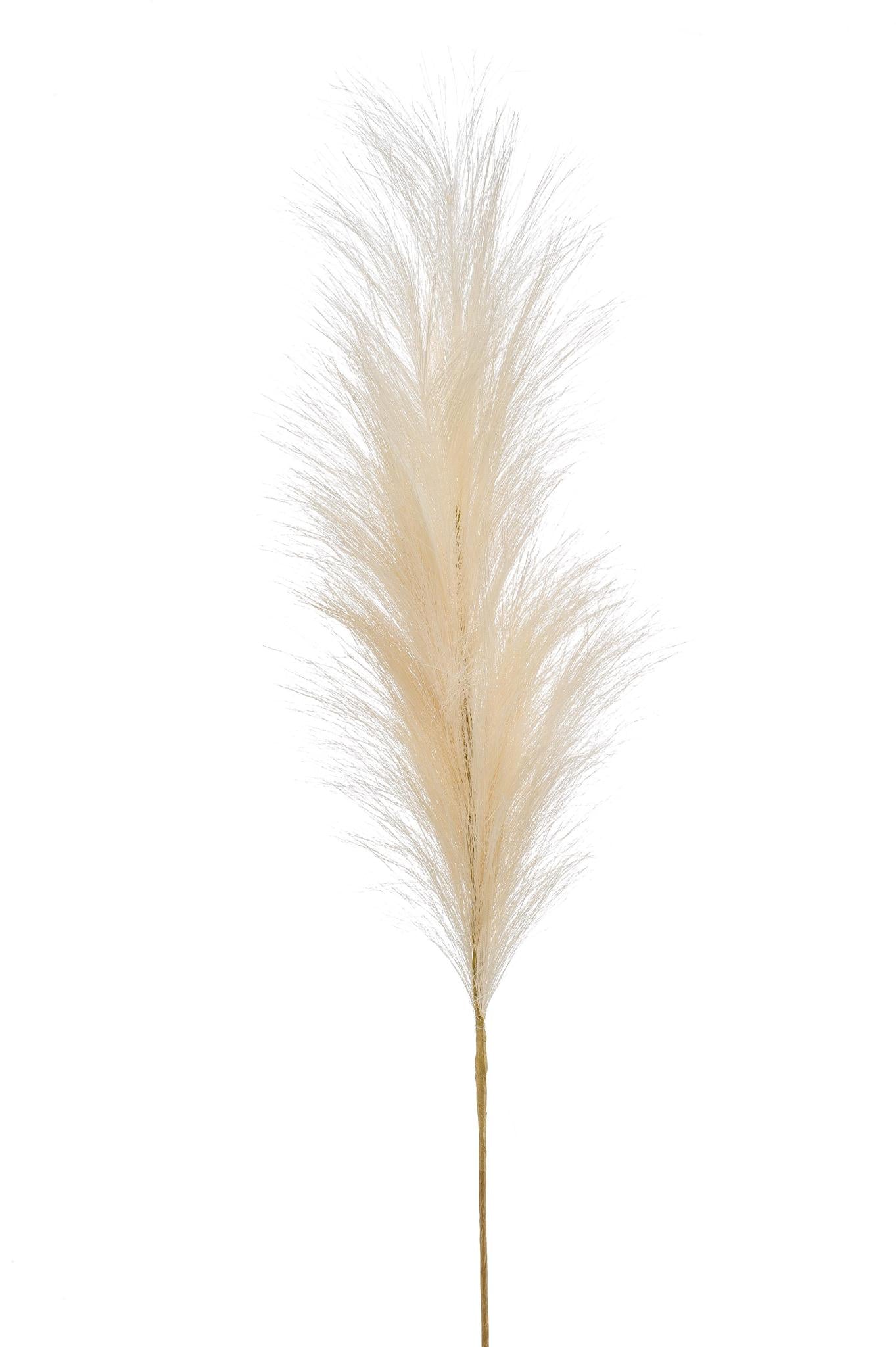 Kunstbloemen Pampas Plumes (Crème)