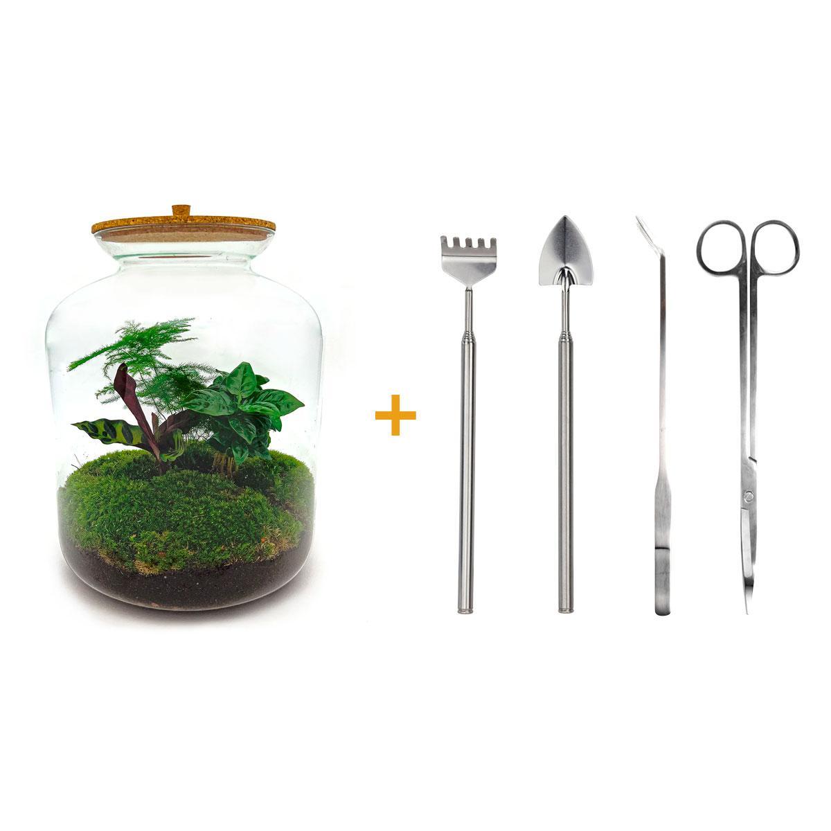 DIY terrarium - Lukas - ↕ 33 cm