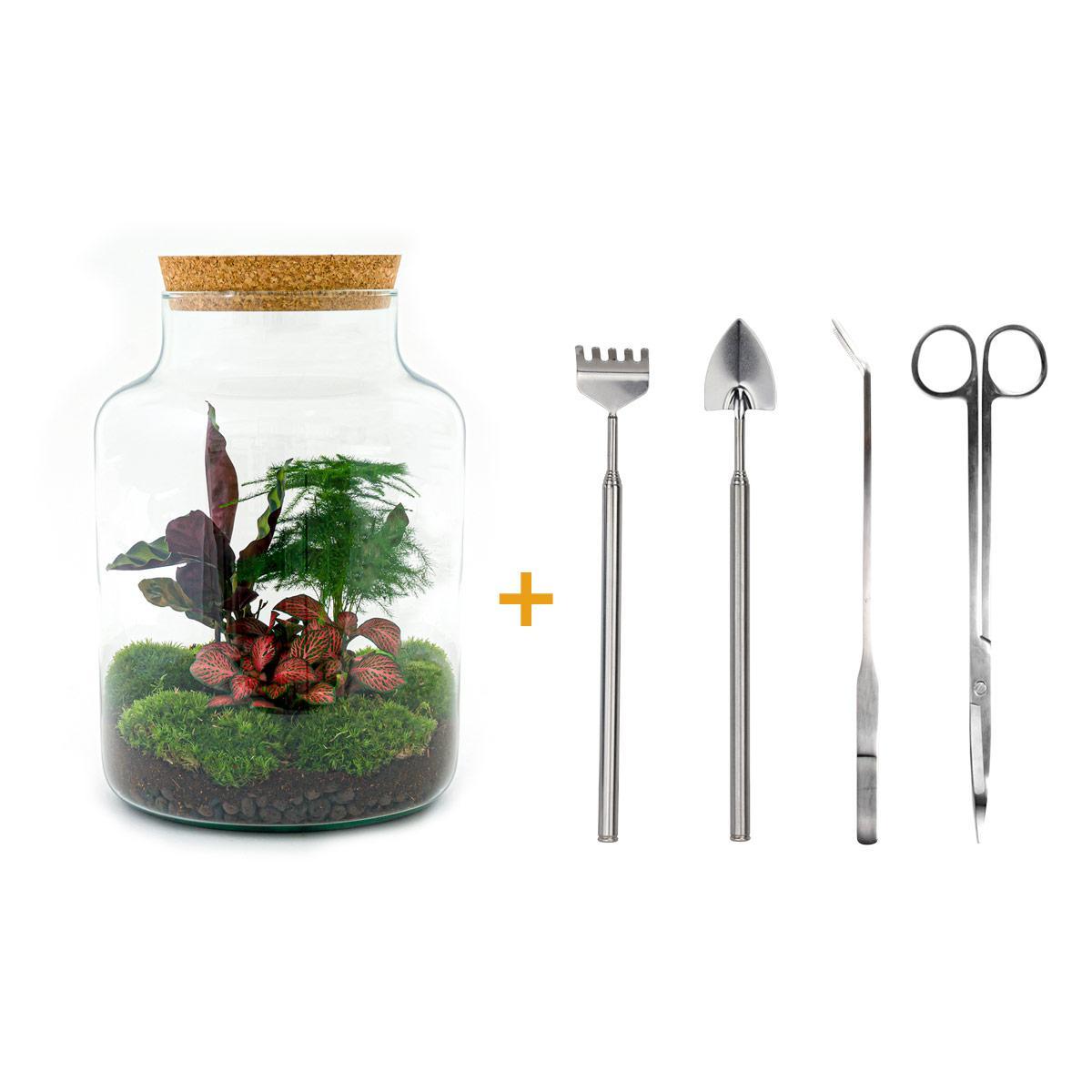 DIY terrarium - Milky - ↕ 30 cm