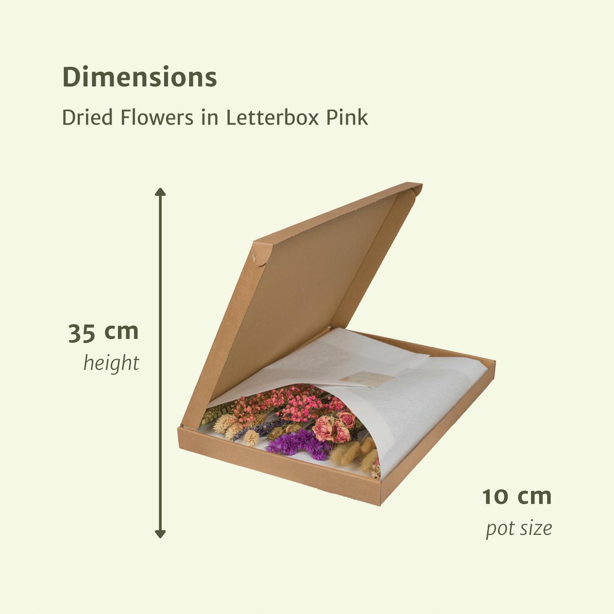 Droogbloemen in brievenbuspakket - Pink