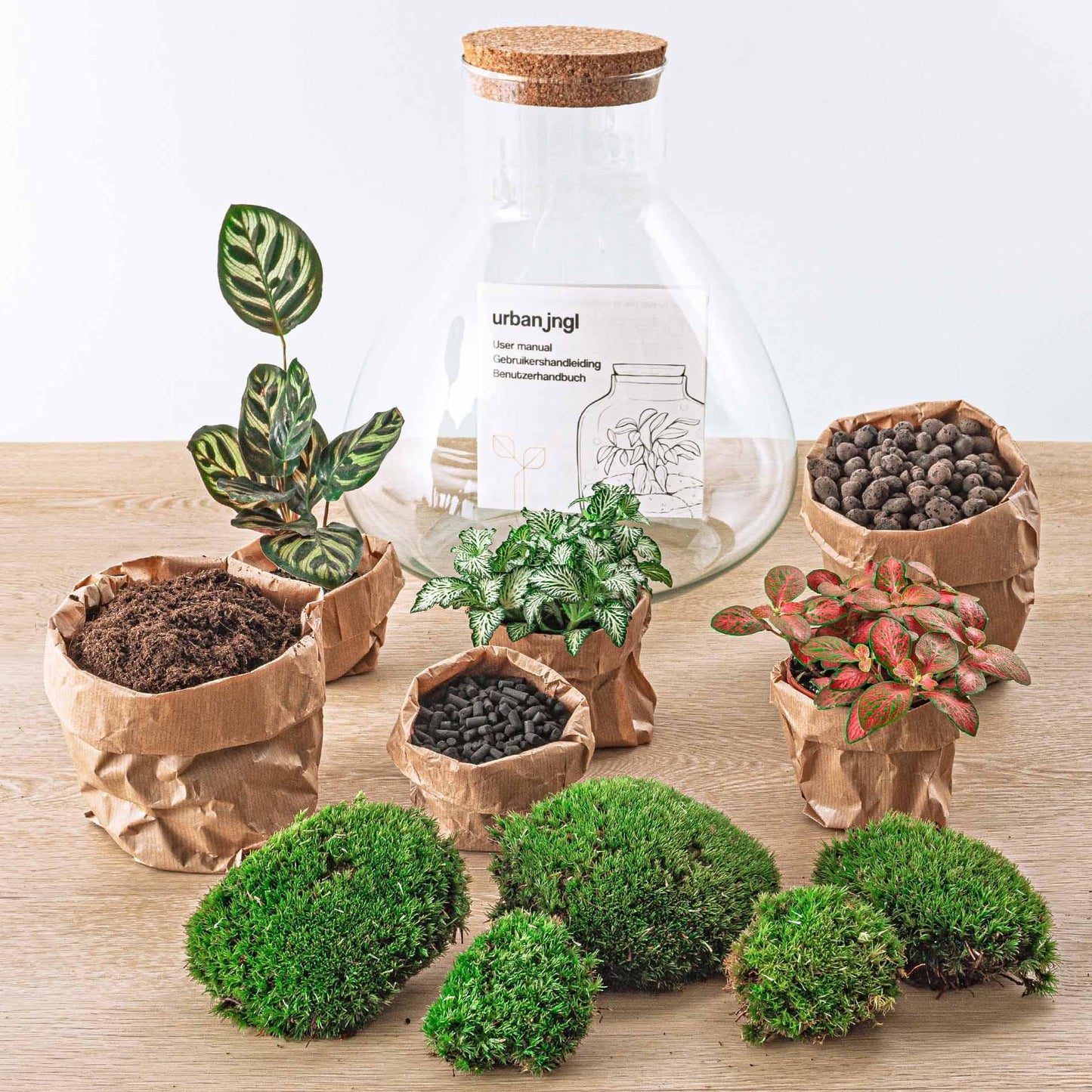 DIY terrarium - Sam XL Rood - ↕ 35 cm