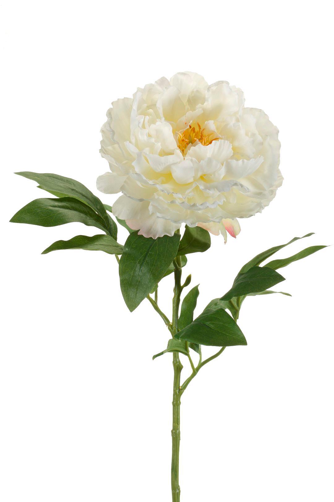 Kunstbloemen Pioenrozen (Crème)