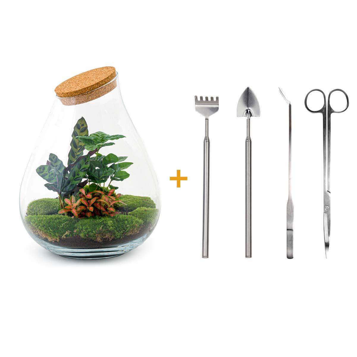 DIY terrarium - Drop XL Rood - ↕ 37 cm