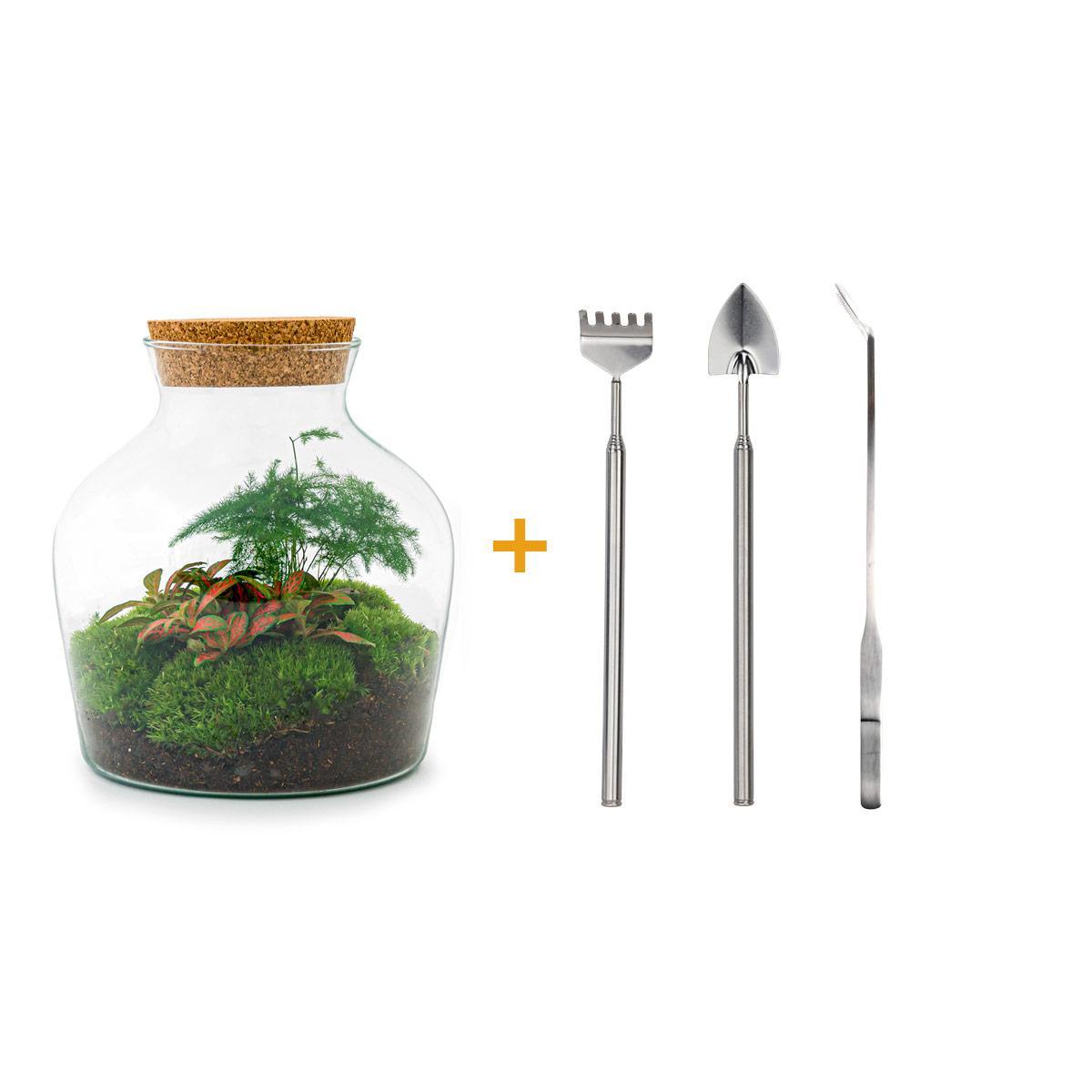DIY terrarium - Little Joe - ↕ 21,5 cm