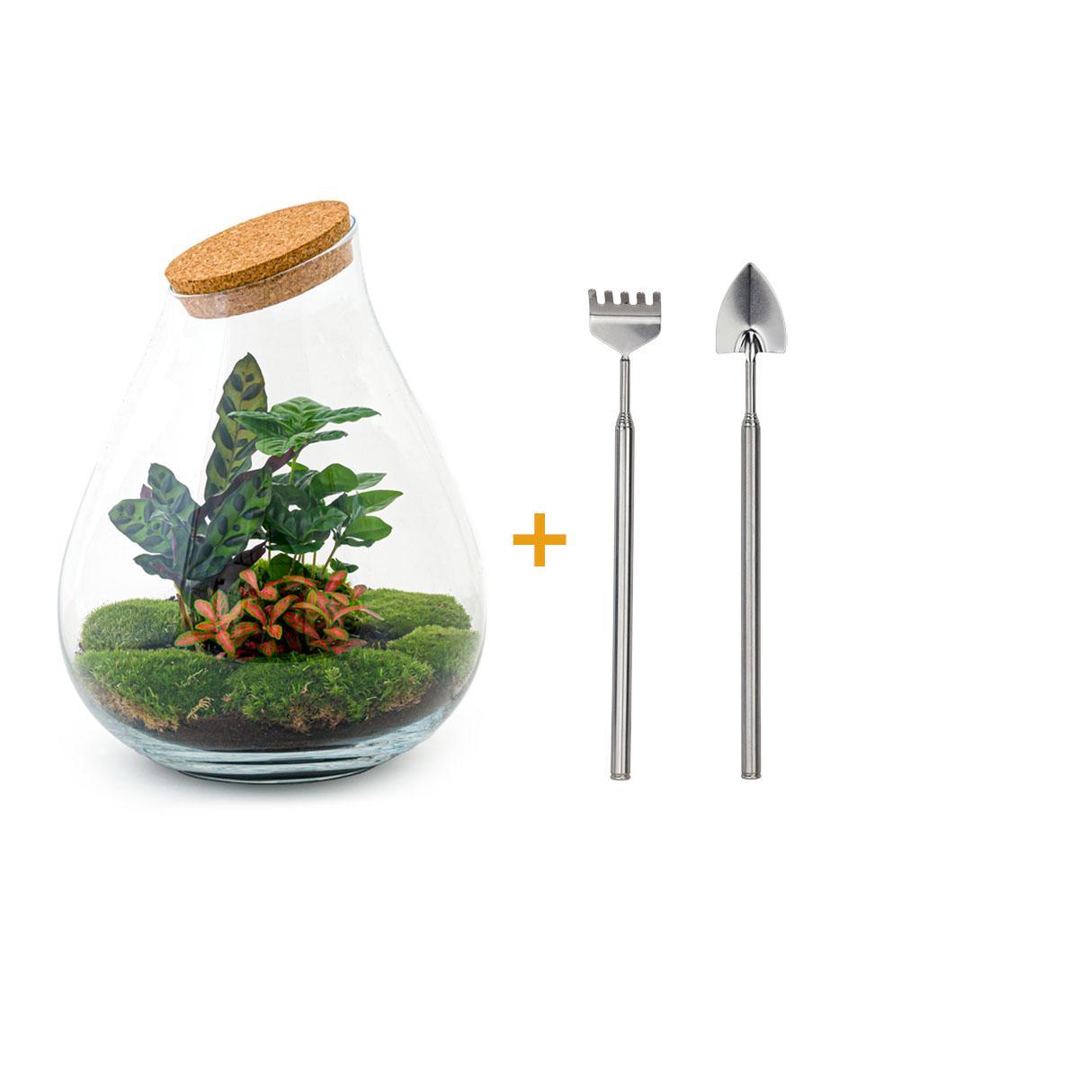 DIY terrarium - Drop XL Rood - ↕ 37 cm
