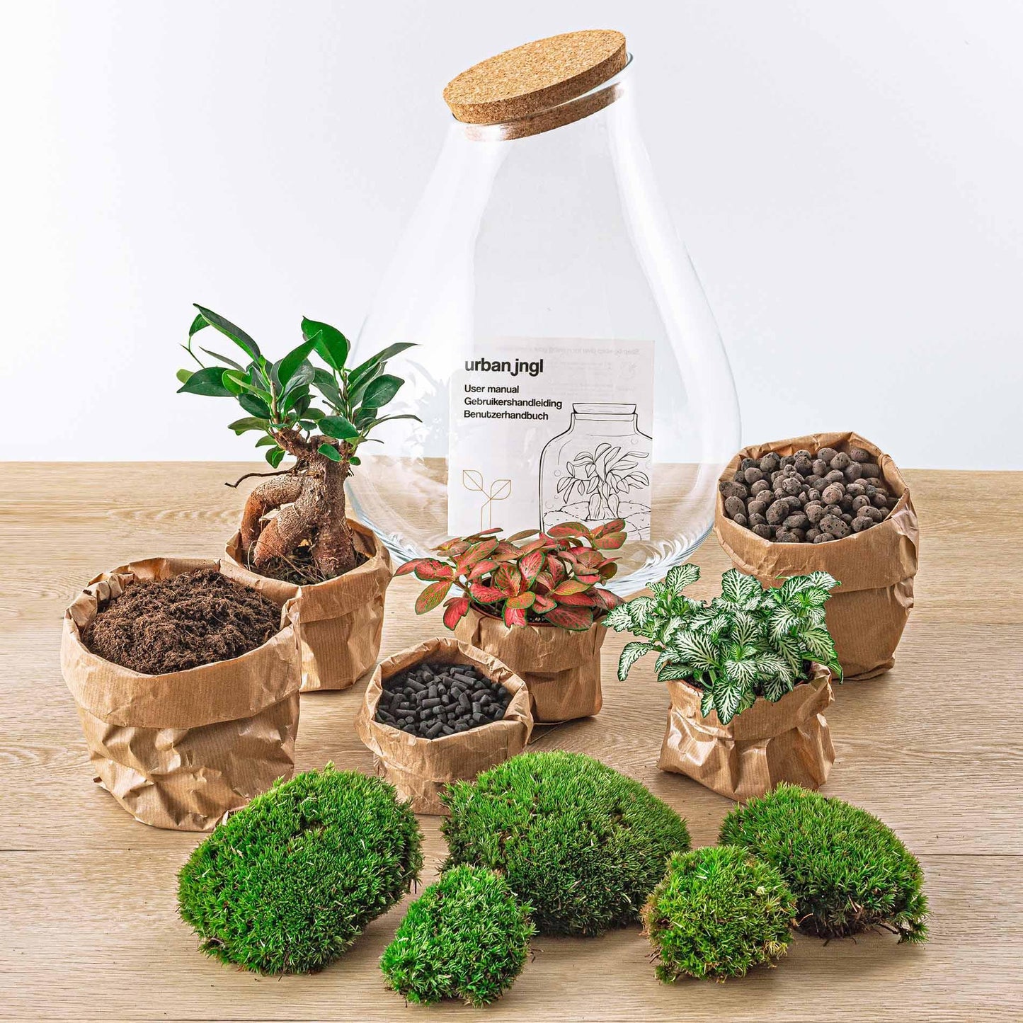 DIY terrarium - Drop XL Bonsai -↕ 37 cm