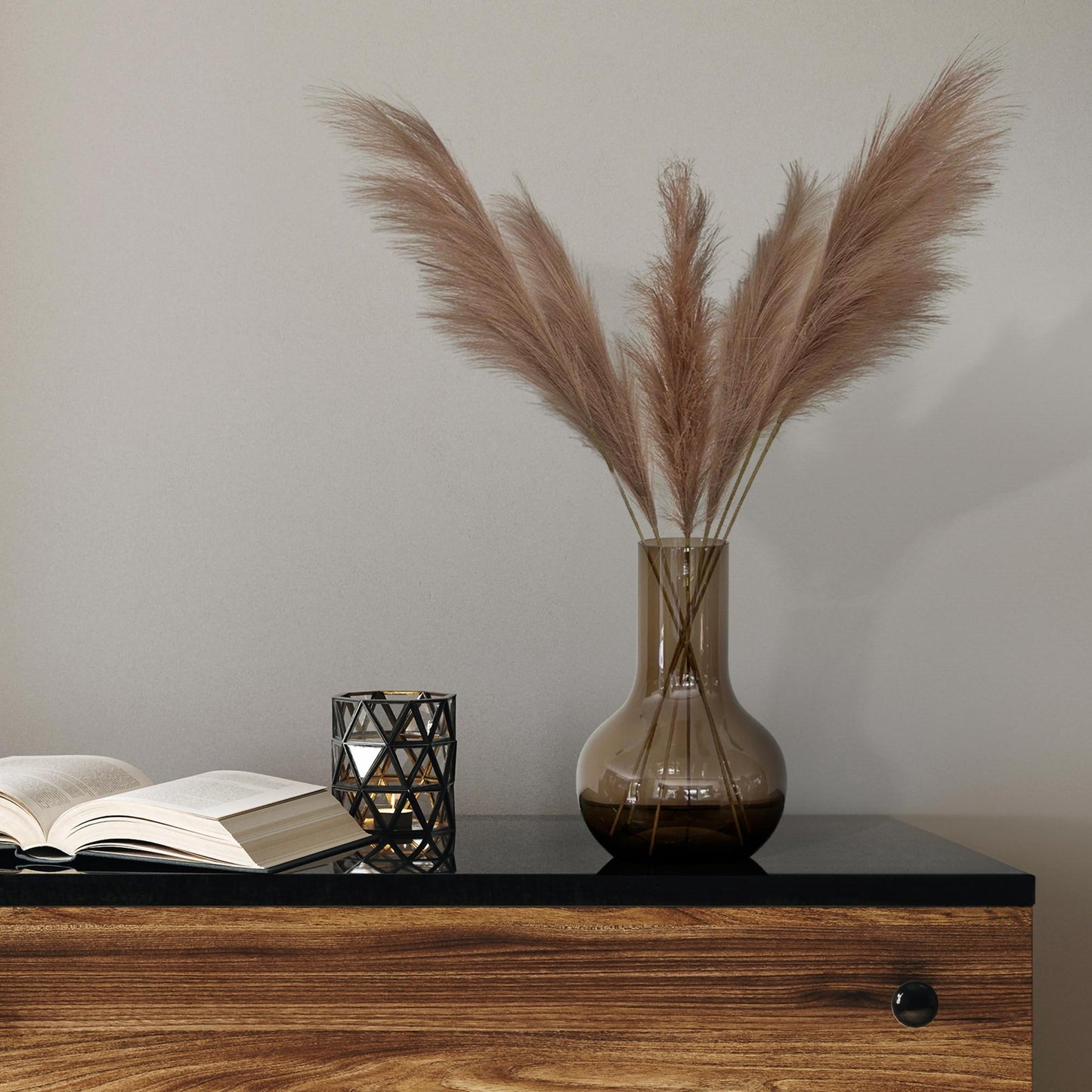 Kunstbloemen Pampas Plumes (Bruin)