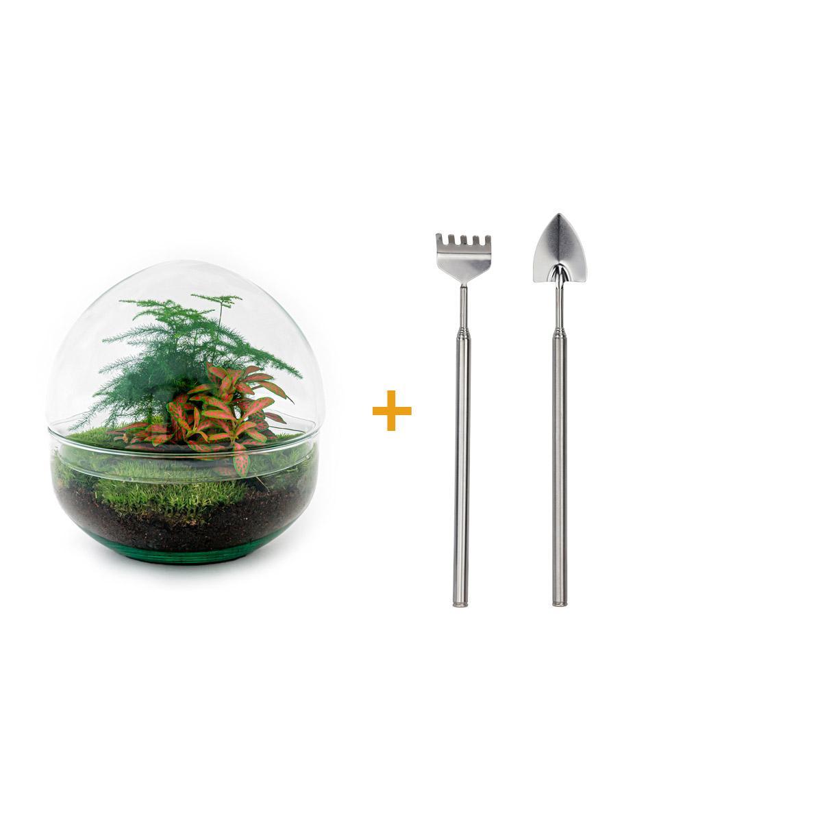 DIY terrarium - Dome Red - ↕ 20 cm
