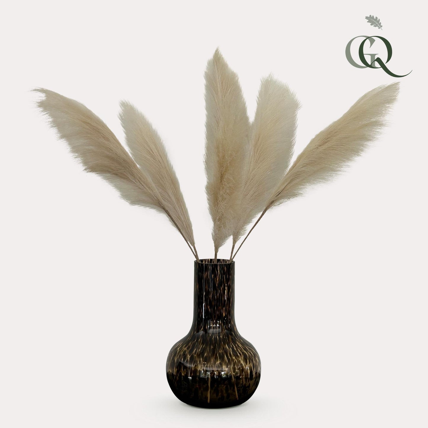 Kunstbloemen Pampas Plumes (Crème)