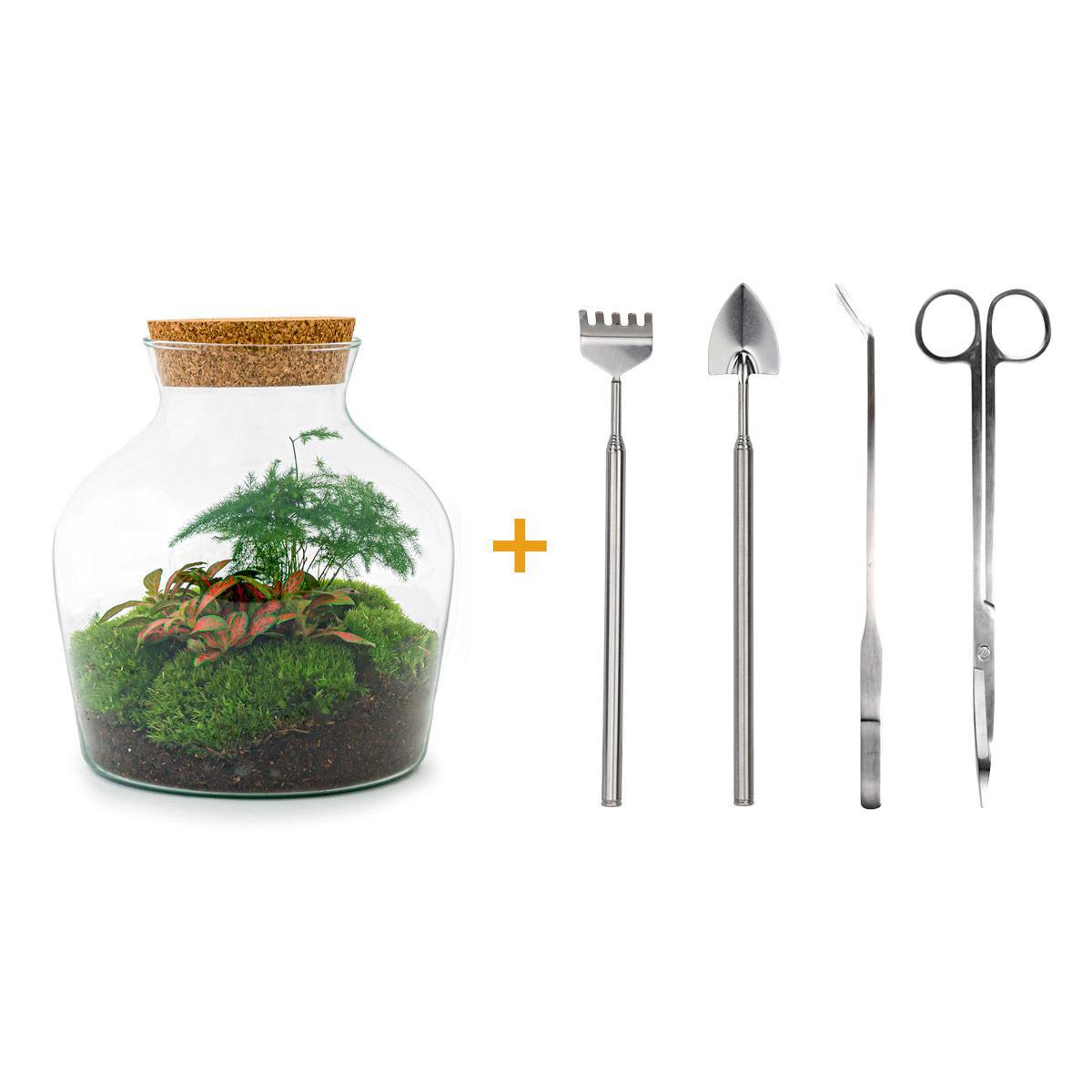 DIY terrarium - Little Joe - ↕ 21,5 cm